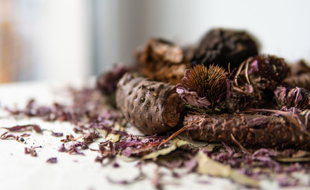 production of food additives from mushrooms. Healthy mushroom dietary supplements packaged in plastic bags. Mycelial dietary supplementsの写真素材