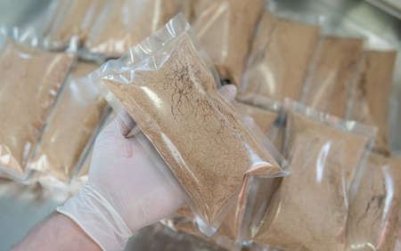 Shiitake Mushroom growing (Lentinula edodes)の写真素材