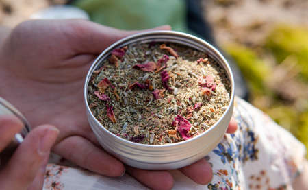 Growing Shiitake Mushrooms at Home.の写真素材