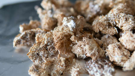 cultivation of shiitake mushrooms. Growing mushrooms at homeの写真素材