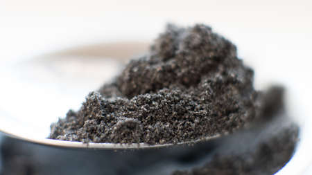 fruiting bodies before drying in a dehydrator. Health benefits of Lion's mane. Hericenones and Erinacinsの写真素材