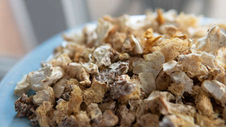 cultivation of shiitake mushrooms. Growing mushrooms at homeの写真素材