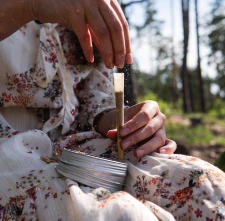 cultivation of shiitake mushrooms. Growing mushrooms at homeの写真素材