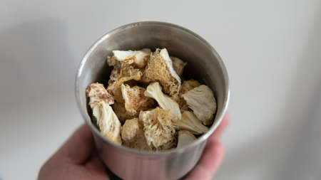 dried fruiting bodies of Hericium erinaceus.の写真素材