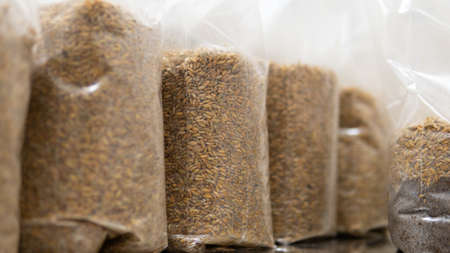 dried fruiting bodies of Hericium erinaceus.の写真素材