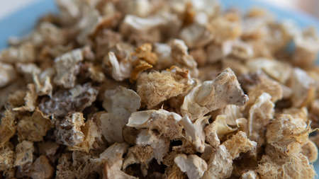 development of a network of mycelium along the substrate. Substrate for cultivation of food and medical cultures of mushroomsの写真素材