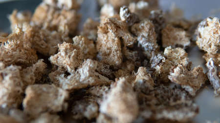 development of a network of mycelium along the substrate. Substrate for cultivation of food and medical cultures of mushroomsの写真素材