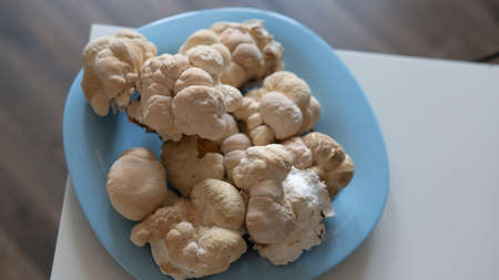 useful powdered dietary supplements. organic food supplement macro photoの写真素材