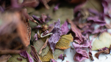 medicinal mixes from herbs, roots and flowers. Traditional medicine for a healthy lifeの写真素材