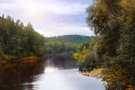 Landscape view of a serene river surrounded by lush green trees in Sigulda. The sky is partly cloudy with soft sunlight illuminating the scene.の写真素材