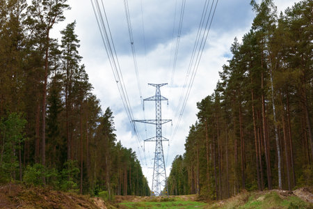 Power lines stretch through a dense forest. Tall trees line both sides of the clearing, under a cloudy sky. The scene represents energy and nature.の写真素材