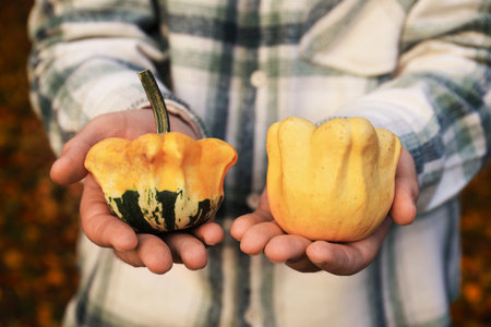 The man in a plaid shirt holds two decorative pumpkins. The scene captures an autumn atmosphere with fallen leaves in the background. High quality photoの写真素材