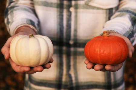 A man in a plaid shirt holds a white pumpkin in one hand and a red pumpkin in the other. The scene captures an autumn atmosphere with fallen leaves.の写真素材