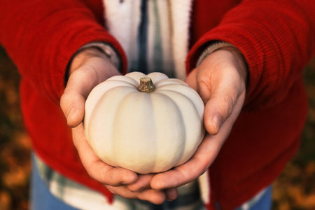 The man in a plaid shirt and red jacket holds a white pumpkin. The scene captures an autumn atmosphere, perfect for Thanksgiving and Halloween.の写真素材