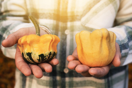 The man in a plaid shirt holds two decorative pumpkins in an autumn setting. The background features fallen leaves and warm sunlight. High quality photoの写真素材