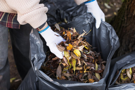 A girl in white gloves collects autumn leaves in a black eco-friendly bag. High quality photo