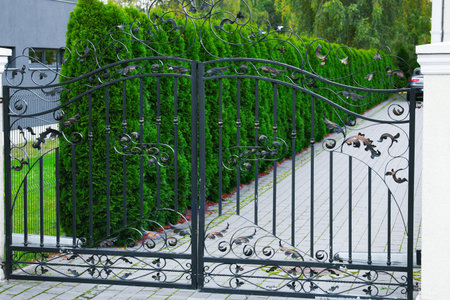 A black wrought iron gate opens to a neatly paved pathway lined with tall green hedges. The scene is tranquil and well-maintained, suggesting a private residence.の写真素材