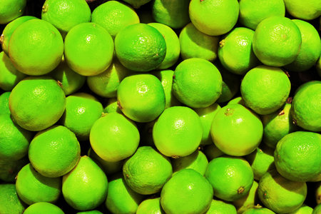 A vibrant, close-up, full-frame view of a large pile of freshly harvested, bright green lime citrus fruits with textured skin. High quality photoの写真素材