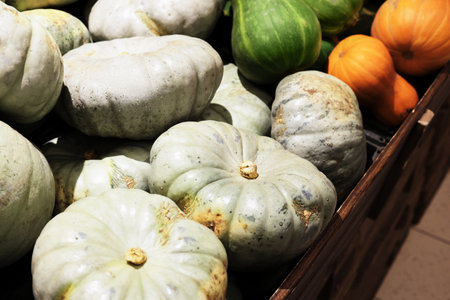 Various squashes and pumpkins, including pale green and white varieties, piled in a wooden crate at a market. High quality photoの写真素材