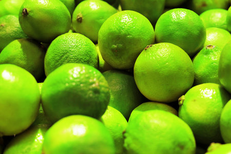 A vibrant, close-up, full-frame view of a large pile of freshly harvested, bright green lime citrus fruits with textured skin. High quality photoの写真素材