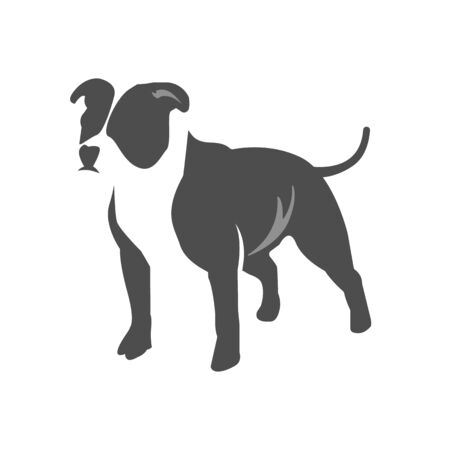 Vector image of an dog pitbull terrier on white backgroundのイラスト素材