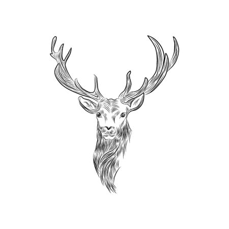 deer sketch vector graphics monochrome head with hornsのイラスト素材