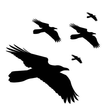 seamless vector pattern with flying black ravens on white backgroundのイラスト素材