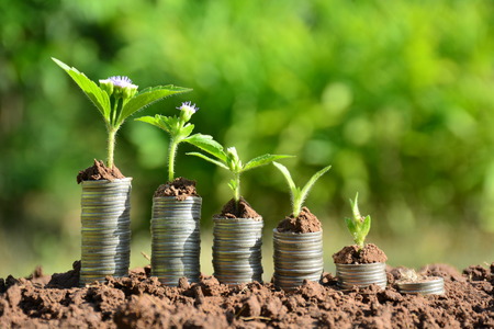 Finance stack coins and the green plant on soil and nature backgroundの写真素材