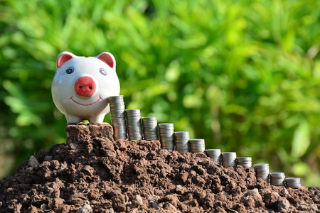 Finance stack coins and piggy bank on nature backgroundの写真素材