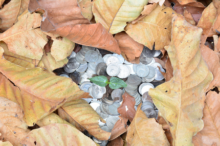 Save money with stack coin for growing your business and plant under the sun lightの写真素材