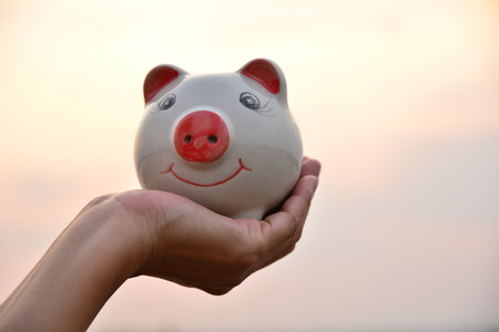 hand holding piggy bank idea concept under the sky
の写真素材