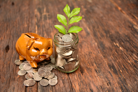 Piggy and stack coins and plant for save money and financial, tax seasonの写真素材