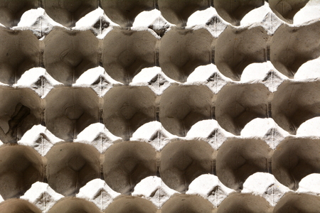 The empty egg panel. white paper egg panel top view.の写真素材
