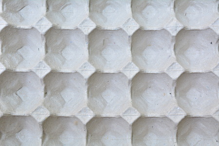The empty egg panel. white paper egg panel top view.