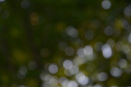 glitter bokeh lights bokeh defocused with nature background.の写真素材