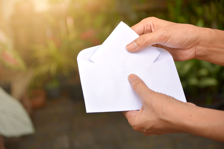 Woman fills the white paper mock up into the white envelope mailの写真素材