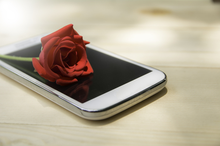 red rose on mobile phone with blank screen on wooden table backgroundの写真素材