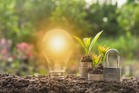 Energy saving light bulb with lock and tree growing on stacks of coins on nature background. Saving,...