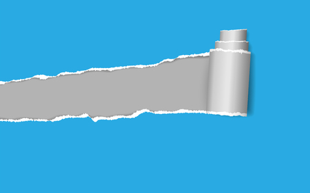 Ripped paper. Vector of ripped paper. the paper was ripped background.のイラスト素材