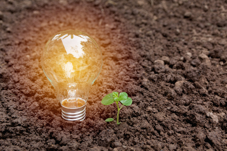Light bulbs with glowing on ground. Idea, creativity and saving energy with light bulbs concept.の写真素材