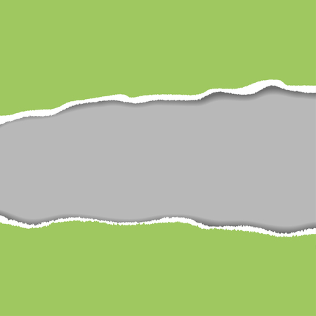 Ripped paper. Vector of ripped paper. the paper was ripped background.のイラスト素材