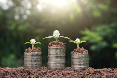 Saving money concept with money coin stack growing for business. financial and accounting concept.の写真素材