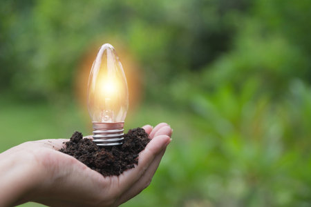 Hand of male holding a light bulb for innovation and creative concept .の写真素材