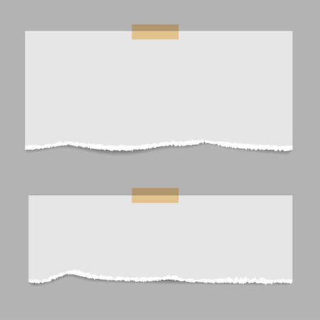 Blank squared notepad pages and tape. Note paper stuck with beige sticky tape.のイラスト素材