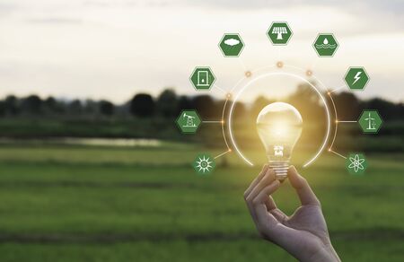 Innovation and energy concept of hand hold a light bulb and copy space for insert text.の写真素材