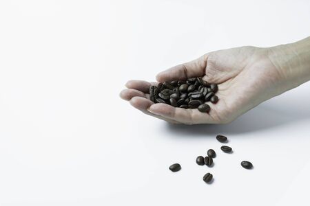 Hand holding coffee beans isolated on white background and copy spaceの写真素材