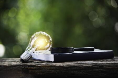 Light bulb and book on wooden table and copy space for insert text.の写真素材