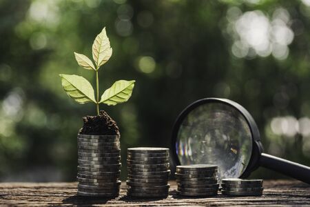 Saving money concept with money coin stack. Financial and accounting concept.の写真素材