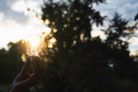 Innovation and energy concept of hand hold a light bulb and copy space for insert text.の写真素材