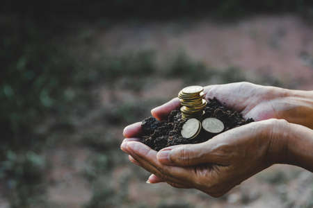 Saving money concept with hand holding money coin stack. financial and accounting concept.の写真素材